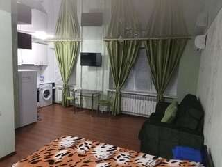 Апартаменты Cozy apartment in center Николаев Апартаменты-студио-15